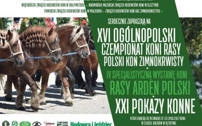 Czempionat koni zimnokrwistych i pokazy konne – 22-23 lipca